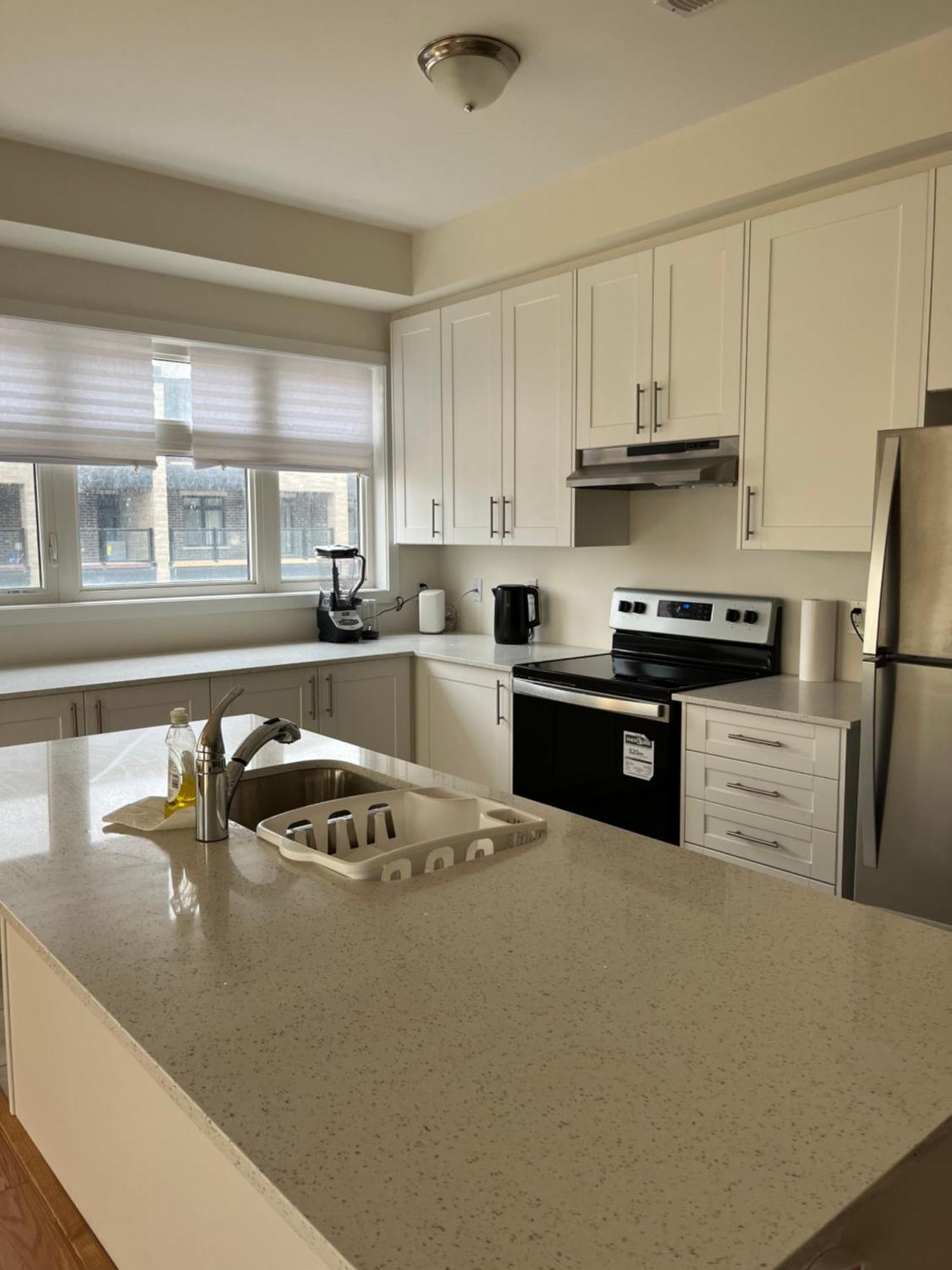Appartement Luxury Brand New Townhouse In Milton Ontario Extérieur photo